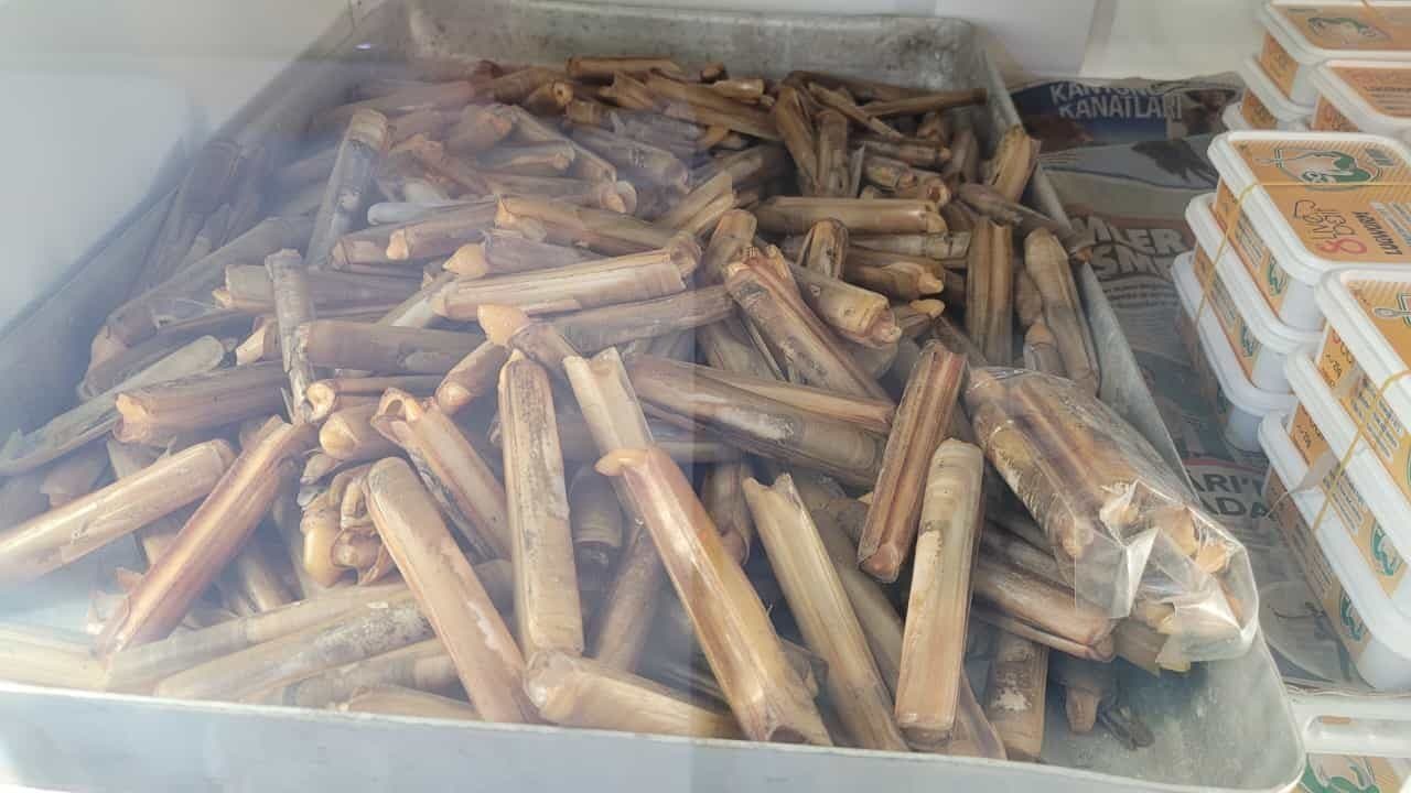 Sülünez Nasıl Saklanır? Canlı ve Taze Tutma Yöntemleri Sülünez Nasıl Saklanır? Canlı ve Taze Tutma Yöntemleri